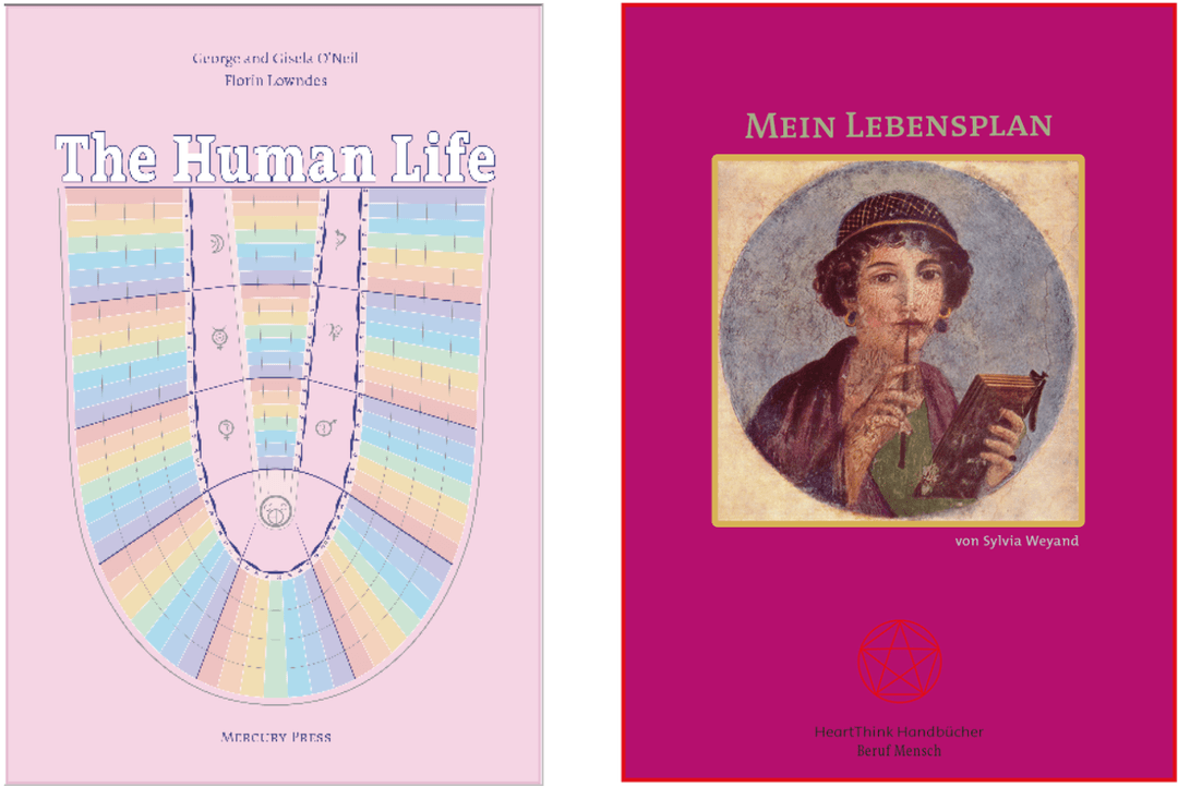 Buch - Mein Lebensplan